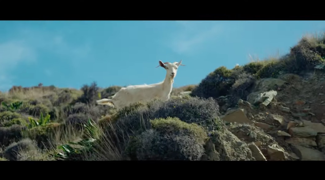 Scherm­afbeelding%202025 01 31%20om%2021.51.32